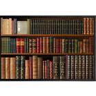 Quadro Biblioteca Pessoal 120x80 - Casa Da Moldura