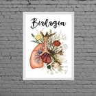 Quadro Biologia Pulmão Com Flores 33x24cm - Com Vidro Moldura