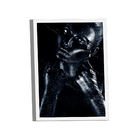 Quadro Black Gold Line -- Br Artes