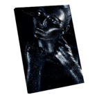 Quadro Black Gold Line -- Br Artes