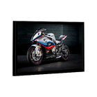 Quadro Bmw S1000 -- Br Artes