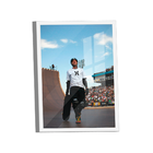 Quadro Bob Burnquist -- Br Artes