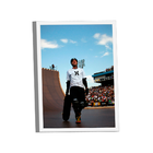 Quadro Bob Burnquist -- Br Artes