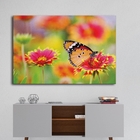 Quadro Borboleta - 1 Tela Estampado