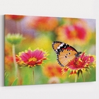 Quadro Borboleta - 1 Tela Estampado