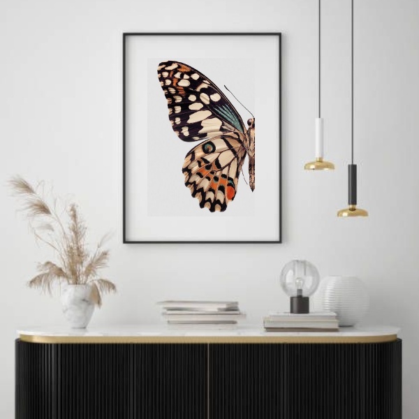 Quadro Borboleta - Asa Colorida - 60x48cm Moldura:madeira Bra