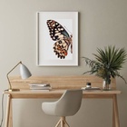 Quadro Borboleta - Asa Colorida - 60x48cm Moldura:madeira Pre