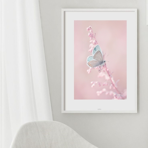 Quadro Borboleta Azul E Rosa - 60x48cm Moldura:madeira Branca