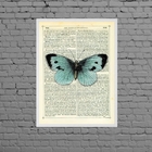 Quadro Borboleta Vintage Azul 45x34cm - Com Vidro Moldura:mad