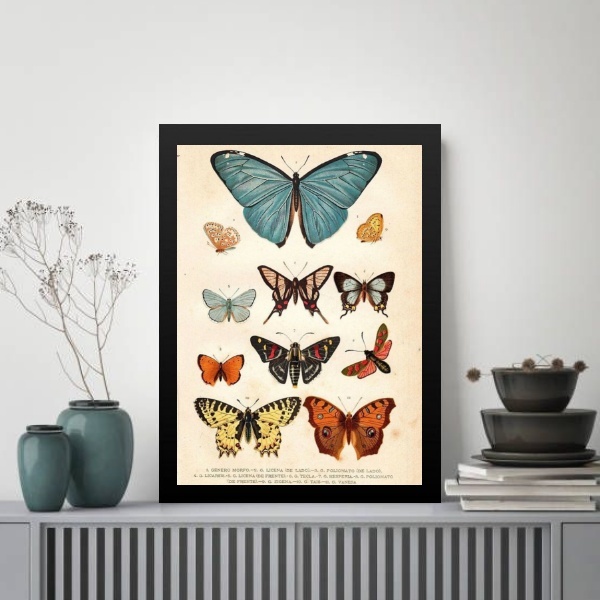 Quadro Borboletas Diversas - Vintage 33x24cm Moldura Preta
