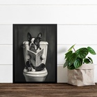 Quadro Boston Terrier No Banheiro Lendo Jornal 33x24cm - Com