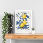 Quadro Botanical Gardens - Azul E Amarelo 33x24cm Moldura Bra