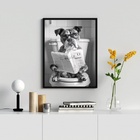 Quadro Boxer No Vaso Lendo Jornal 24x18cm - Com Vidro Moldura