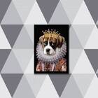 Quadro Boxer Rainha 45x34cm - Com Vidro Moldura:madeira Preta