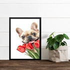 Quadro Bulldog Francês Com Flores Tulipas 24x18cm - Com Vidro