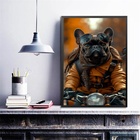 Quadro Bulldog Francês Motociclista 45x34cm - Com Vidro Moldu