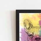 Quadro Cachorro Buldogue Francês Aquarela Moldura 60x40cm