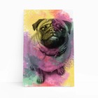 Quadro Cachorro Cão Pug Tinta Aquarela Canvas 60x40cm