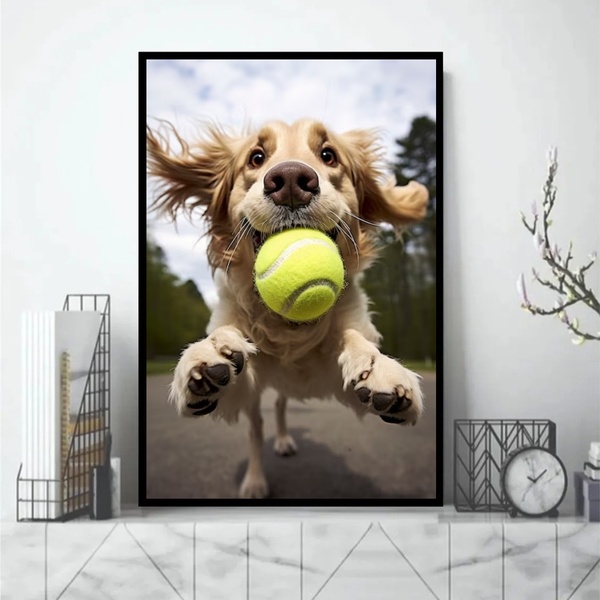 Quadro Cachorro Com Bola De Tênis 33x24cm - Com Vidro Moldura