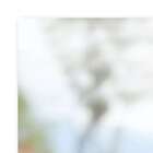 Quadro Cachorro Com Fone Uniart Marrom 45x45cm