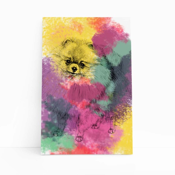 Quadro Cachorro Lulu Da Pomerânia Aquarela Canvas 20x30cm