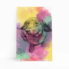 Quadro Cachorro Salsicha Daschund Aquarela Canvas 30x40cm