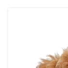 Quadro Cachorro Uniart Marrom 45x45cm