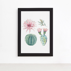 Quadro Cacto Floridos Moldura Preta 22x32cm