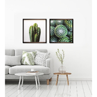 Quadro Cactus I Verde 60x60cm Inspire