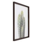 Quadro Cactus I Verde 60x60cm Inspire
