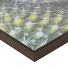 Quadro Cactus II Verde 60x60cm Inspire