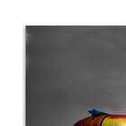 Quadro Caminhão Velho Uniart Terra 45x45cm