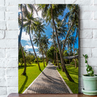 Quadro Caminho Do Verão