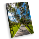 Quadro Caminho Do Verão