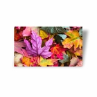 Quadro Canvas Premium Fotografia Folhas Coloridas 60x40cm