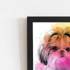 Quadro Cão Cachorro Shih Tzu Fêmea Aquarela Moldura 30x40cm