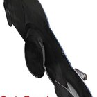 Quadro Carro Fusca 3d Para Parede Em Metal Deco Vintage Azul