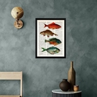 Quadro Casa De Praia- Peixes Coloridos 45x34cm - Com Vidro Mo