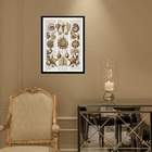 Quadro Casa De Praia - Conchas Vintage 33x24cm - Com Vidro Mo