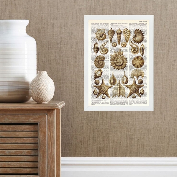 Quadro Casa De Praia - Conchas Vintage 45x34cm Moldura:madeir