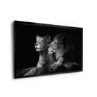 Quadro Casal De Leões -- Br Artes