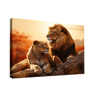 Quadro Casal Na Rocha -- Br Artes