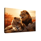 Quadro Casal Na Rocha -- Br Artes