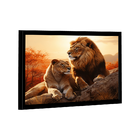 Quadro Casal Na Rocha -- Br Artes