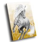 Quadro Cavalo Branco -- Br Artes