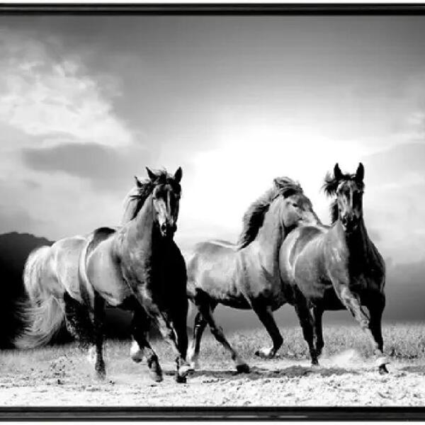 Quadro Cavalo Pb 70x50cm - Casa Da Moldura