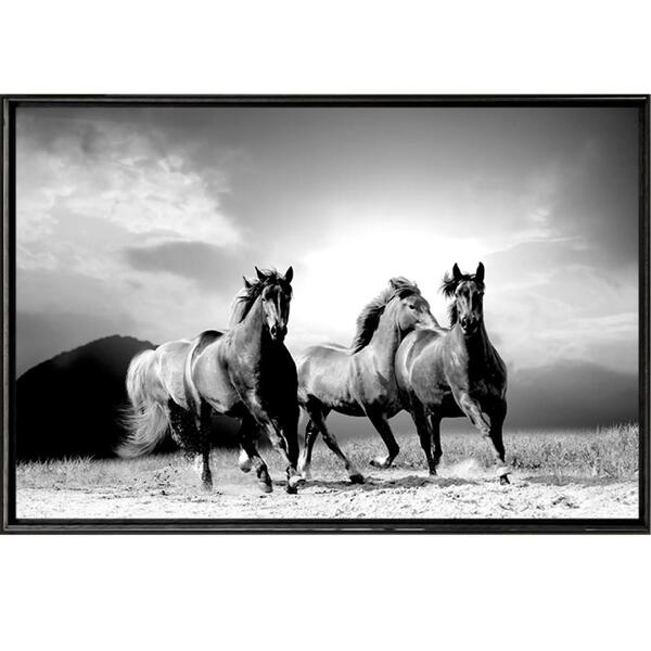 Quadro Cavalo Pb 90x60cm - Casa Da Moldura