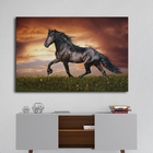 Quadro Cavalo Preto - 1 Tela Estampado