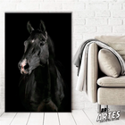 Quadro Cavalo Preto -- Br Artes