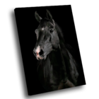 Quadro Cavalo Preto -- Br Artes